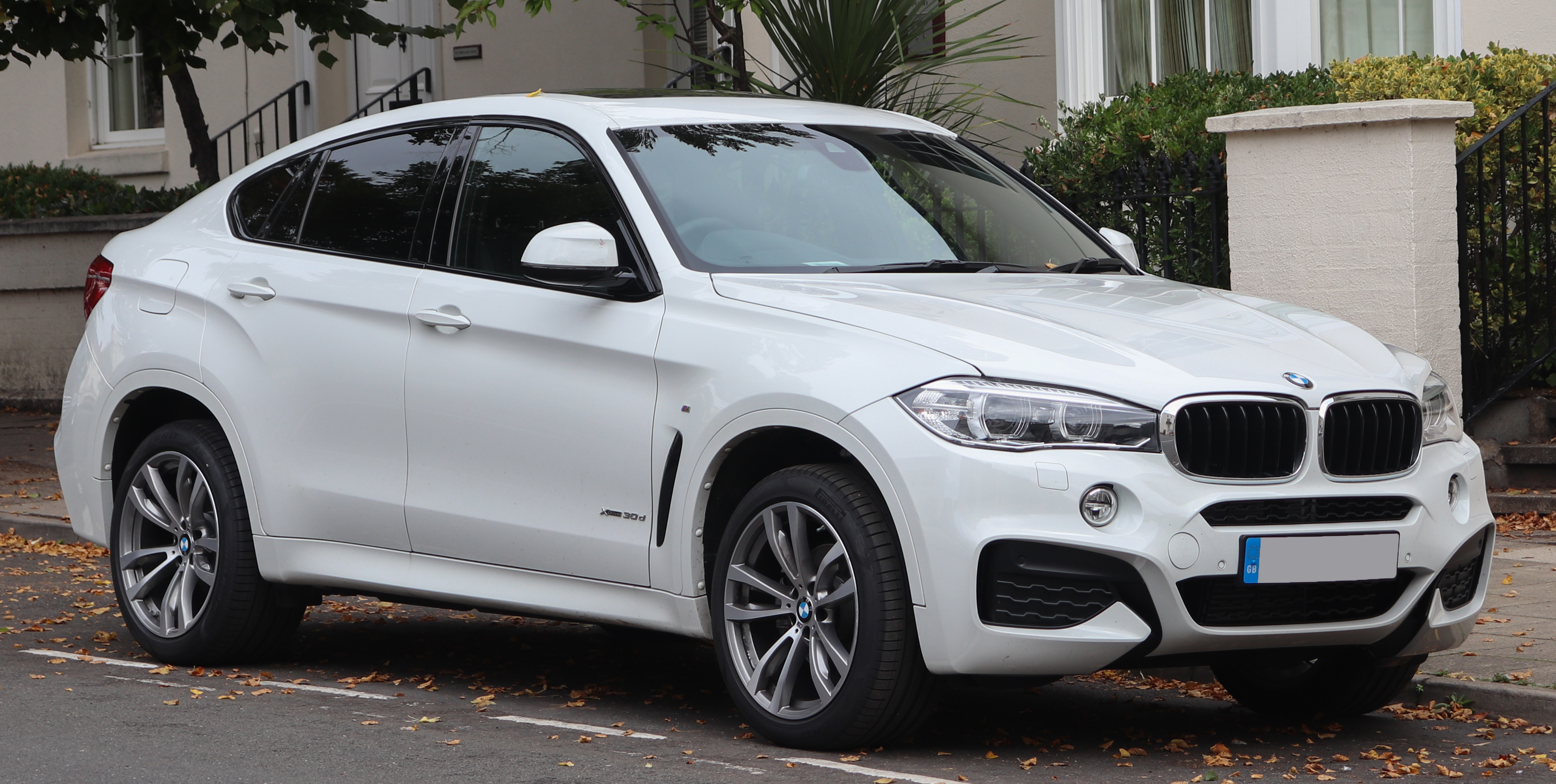 BMW X6 Car Mileage, Engine, Price, Safety and Features, Space